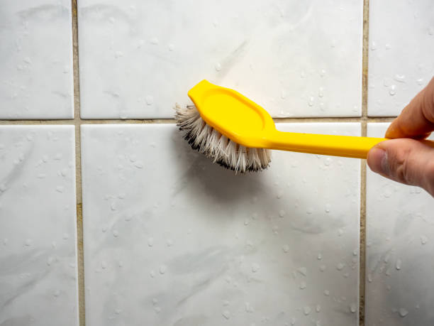 Best Mold Remediation for Specific Building Types in New Baltimore, VA
