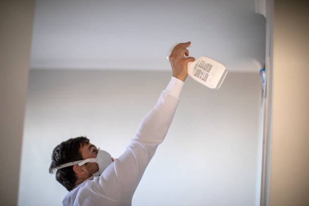 Best White Mold Remediation in New Baltimore, VA